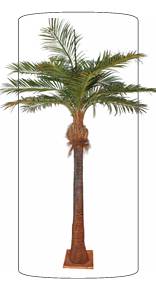 Palmier artificiel Coco - arbre tropical intérieur - H.700cm