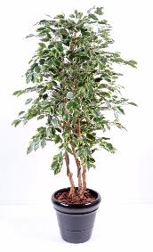 Arbre artificiel Ficus Exotica - plante d'intrieur - H.180cm vert/crme
