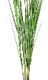 Feuillage artificiel 3 tiges XL de Graminée Carex Vulpina - Lot de 3 tiges - H.240cm vert
