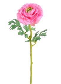 Fleur artificielle Renoncule en tissu - cration de bouquet - H.58 cm rose