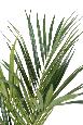 Palmier artificiel kentia Palm - décoration d'intérieur - H.130cm vert
