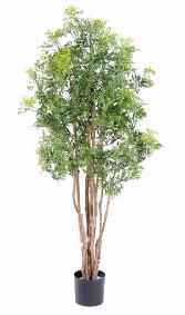 Plante artificielle Aralia Ming - intrieur extrieur - H.160cm vert
