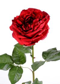 Fleur artificielle rose Anglaise .14cm - haute gamme - H.85cm rouge