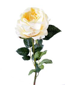 Fleur artificielle rose Anglaise - dcoration d'intrieur - H.80cm crme