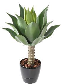 Plante artificielle Agave tige de plantation - cactus pour intrieur - H.75cm