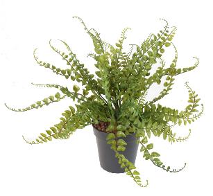 Plante artificielle Fougre plastique en piquet - intrieur extrieur - H.38cm vert