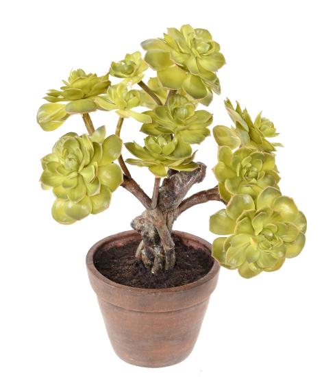 Succulente artificielle en pot terre cuite - plante d'intérieur - H.35cm