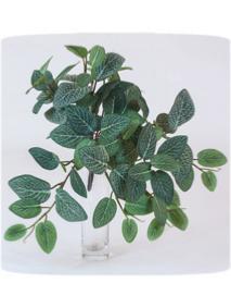 Feuillage artificiel piquet Fittonia mini intrieur 29cm vert