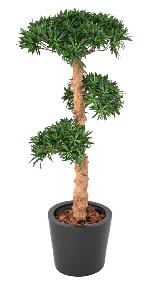 Arbre artificiel Podocarpus nuage - plante artificielle intrieur - H.150cm