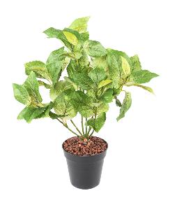 Feuillage artificiel Coleus en piquet - plante verte intrieur - H.40cm vert