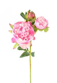 Pivoine artificielle 2 fleurs - cration de bouquet composition - H.50cm rose