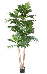 Plante artificielle Artocarpus Altilis - arbre  pain pour intrieur - H.200cm vert