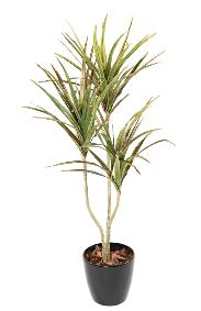 Plante artificielle Dracaena 3 ttes - dcoration d'intrieur - H.140cm