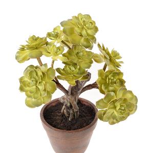 Succulente artificielle en pot terre cuite - plante d'intérieur - H.35cm