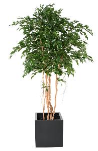 Arbre artificiel Ficus exotica MT - plante synthétique d'intérieur - H.260cm vert