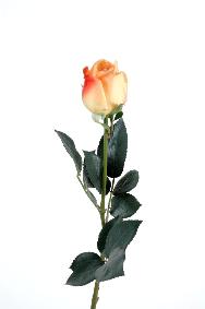 Fleur artificielle coupe rose bouton Lisa - natural touch - H.60cm jaune