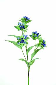 Fleur artificielle de Marogravia - cration florale intrieur - H.67cm bleu