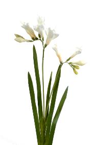 Fleur coupe artificielle Freesia large - cration de bouquet - H.60cm blanc
