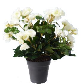 Fleurs artificielles Bgonia - plante en piquet - H.30 cm blanc