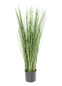 Herbe artificielle Honey Grass UV résistant - intérieur extérieur - H.80cm