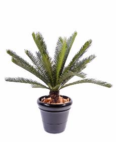 Palmier artificiel Cycas tronc - plante intrieur extrieur - H.100cm vert