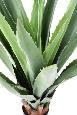 Plante artificielle Agave Furcraea - intérieur extérieur - H.110cm vert
