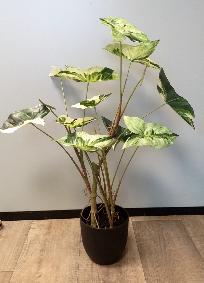Plante artificielle Alocasia en pot - plante d'intrieur - H.75cm vert crme