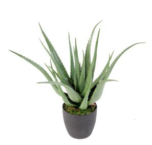 Plante artificielle Aloe vera en pot - plante pour intrieur - H.70cm vert