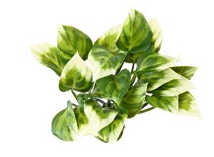 Plante artificielle Philo Bush en piquet - intérieur extérieur - H.25cm vert blanc