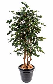 Arbre artificiel Ficus Exotica - plante d'intrieur - H.210cm vert