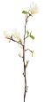 Fleur artificielle branche de Magnolia - création florale intérieur - H.83cm blanc
