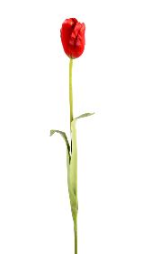 Fleur artificielle coupe Tulipe - dcoration d'intrieur - H.79cm rouge