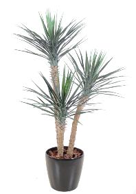 Plante artificielle Yucca 3 troncs - dcoration pour intrieur - H.155cm vert