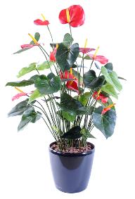 Plante artificielle fleurie Anthurium en pot - dcoration d'intrieur - H.78cm rouge