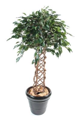 Arbre artificiel Ficus tronc cage - plante d'intérieur - H.170cm vert