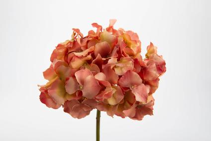 Fleur artificielle Hortensia Altona - cration bouquet - H.48cm corail