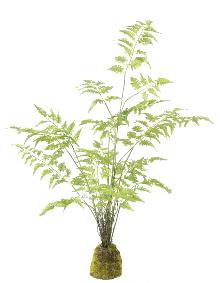 Fougre artificielle socle mousse - plante d'intrieur - H.95cm vert