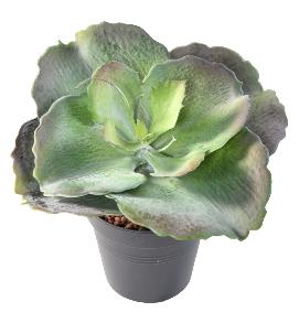 Mini plante artificielle Succulente ROND - cactus artificiel intrieur - H.24 cm
