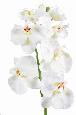 Orchidée artificielle Phalaenopsis 6 fleurs - création bouquet - H.85cm blanc