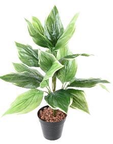Plante artificielle Hosta en piquet -plante d'intrieur - H.60cm vert blanc