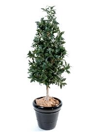 Plante artificielle Laurier pyramide - topiaire artificiel - H.210cm vert