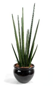 Plante artificielle Sansevieria cylindrica - dcoration d'intrieur - H.90 cm