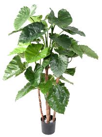 Plante artificielle Alocasia Calidora - dcoration d'intrieur - H.170cm