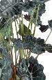 Plante artificielle tropicale Alocasia - déco intérieur - H.110 cm vert rouge