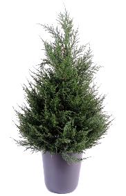 Plante artificielle Cypres artificiel (juniperus vert) - intrieur extrieur - H.65cm vert