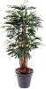 Palmier artificiel Raphis lady 7 cannes -plante synthétique - H.210cm