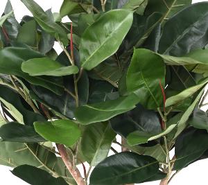 Arbre artificiel Ficus Elastica tête - plante synthétique d'intérieur - H.160cm vert