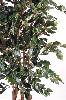 Arbre artificiel Ficus Exotica - plante d'intérieur - H.210cm vert