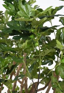 Arbre artificiel Figuier avec fruits - plante d'intérieur - H.260cm vert