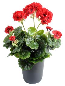 Granium en piquet 5 ttes - Plante fleurie artificielle - H.40cm rouge